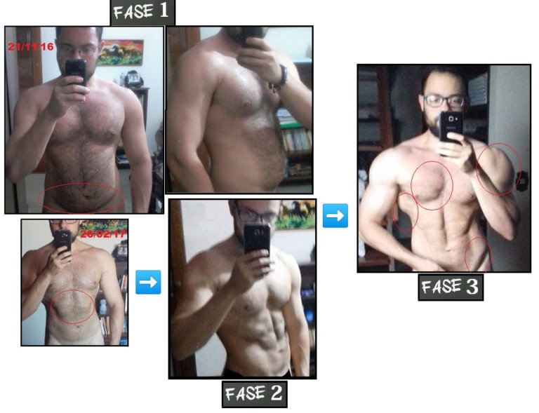 Transformação Bruno Rodrigo