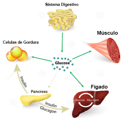 protocolo jejum intermitente 16/8 regula sua glicemia (controle de açúcar no sangue)