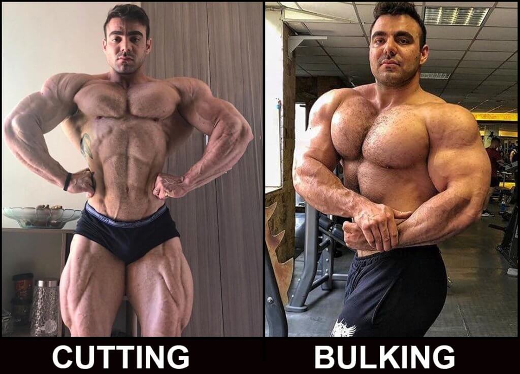 diferença entre cutting e bulking