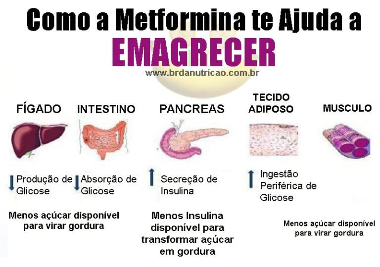Metformina Glifage Emagrece? Para Que Serve? Como Tomar?