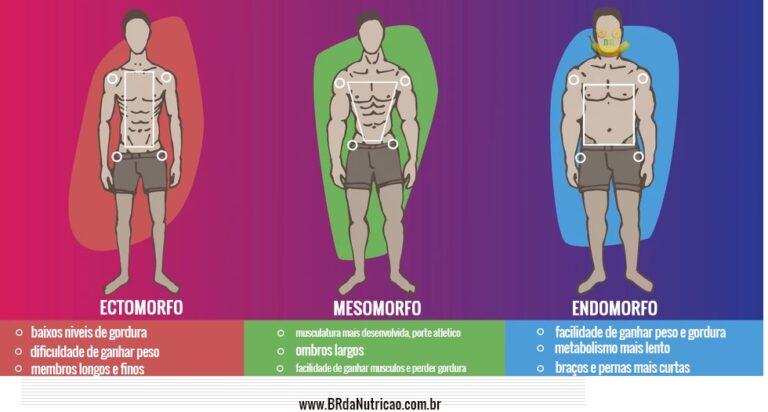 ECTOMORFO: O que é? Veja o Treino & Dieta adequados | BR