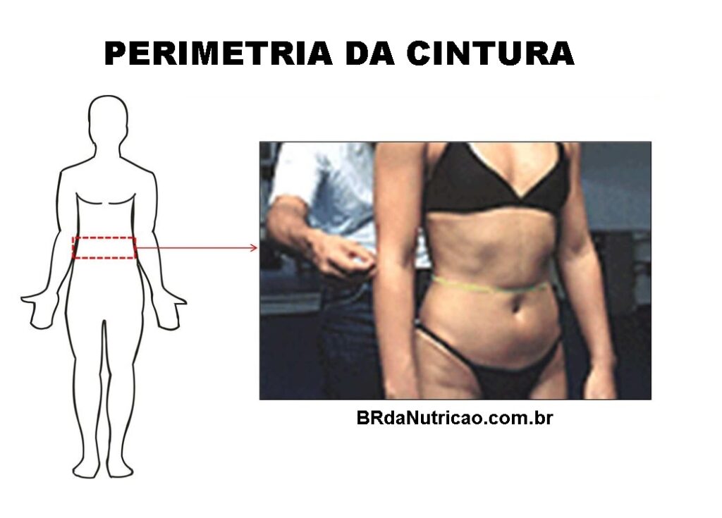 Medidas Antropométricas: O que são? Nutri Explica! 4 perimetria medida antropometrica