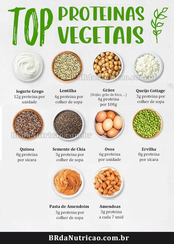 10 top proteina vegetal