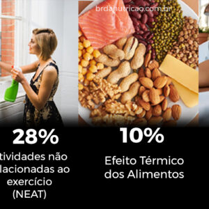 Gasto Energético Total GET Como Calcular? Calculadora Online