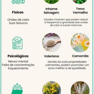 Fitoterapicos para Menopausa: 8 Ervas para Reduzir Sintomas
