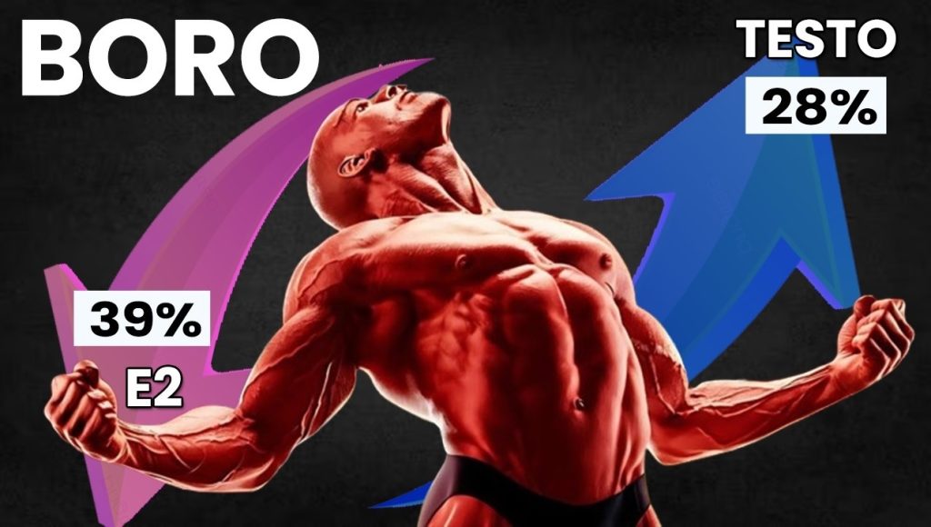 Quais os Benefícios do Boro para o Homem? 1 boro suplemento beneficios
