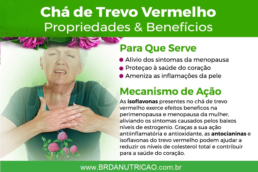 Chá para Calor da Menopausa: Alívio Natural e Eficaz 1 Chá para Calor da Menopausa trevo vermelho beneficios