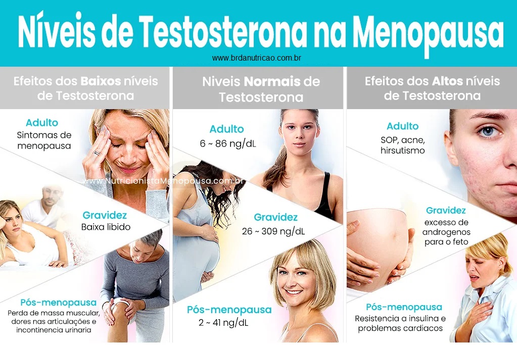 testosterona na menopausa