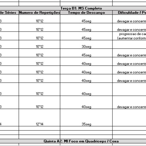 Programa de Treino de Musculação Para Perder Peso